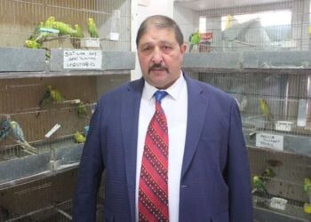 Petshop muamması devam ediyor… ‘Kasaplarda kedi köpek mi satılacak?’