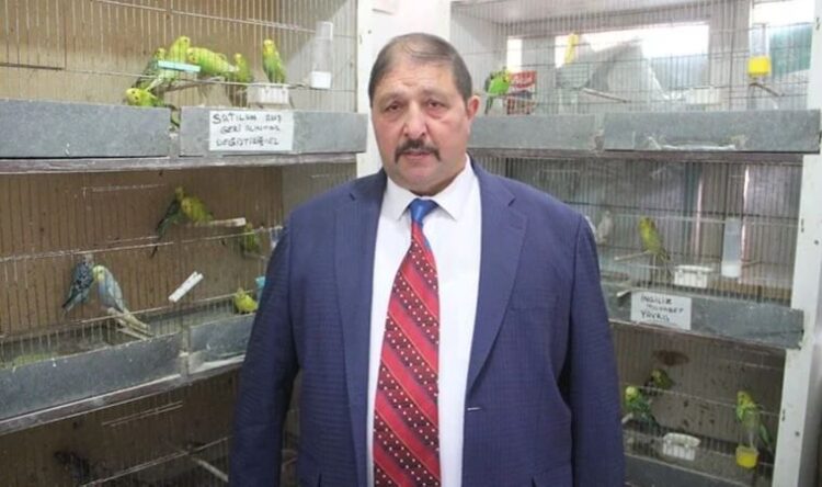 Petshop muamması devam ediyor… ‘Kasaplarda kedi köpek mi satılacak?’