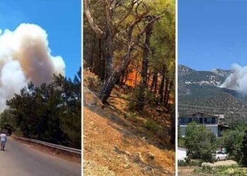 Datça’da korkutan orman yangını: Rüzgar şiddetlendi!