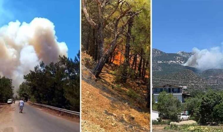 Datça’da korkutan orman yangını: Rüzgar şiddetlendi!