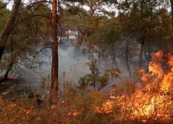 Meteoroloji’den yangın bölgelerine uyarı: Saatte 60 kilometre hızla ilerleyecek