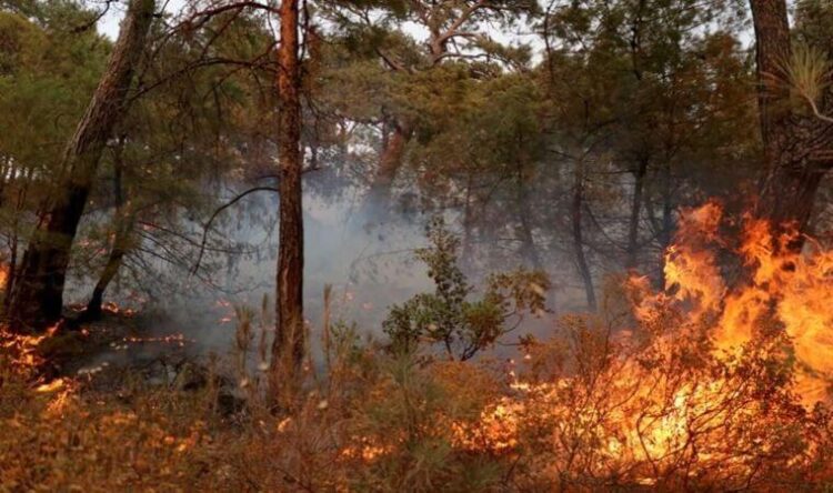 Meteoroloji’den yangın bölgelerine uyarı: Saatte 60 kilometre hızla ilerleyecek