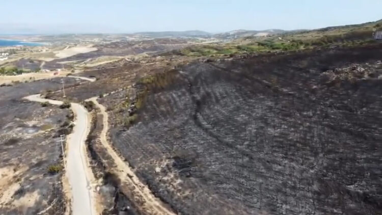 CHP’li Özkan paylaştı: Çeşme’deki yangının tahribatı kameralara yansıdı