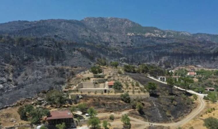 CHP’li Adıgüzel: Bu meseleye siyaset ile yaklaşmak, bu ülkeye ihanet etmektir