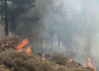 Hatay’da orman yangını!