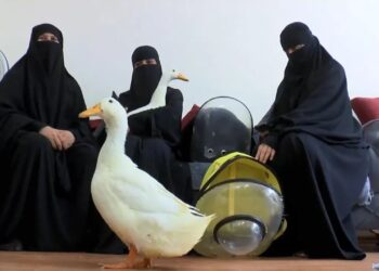 Göletteki ördekleri çaldığı iddia edilen kadın konuştu