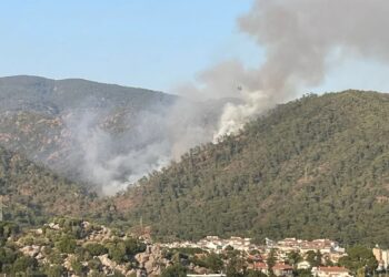 Marmaris’te orman yangını