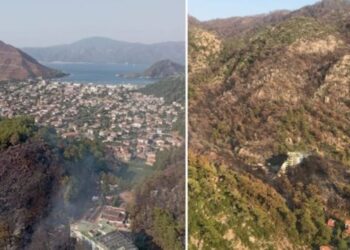 Marmaris’te orman yangınının çıkış sebebi belli oldu