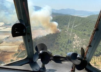 İzmir’de serada çıkan yangın ormana sıçradı!