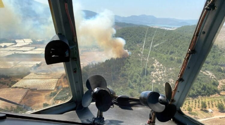 İzmir’de serada çıkan yangın ormana sıçradı!