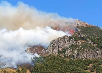 İzmir’in ardından Hatay’da orman yangını!