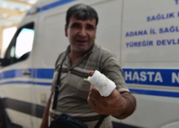 Acemi kasaplar hastanelik oldu