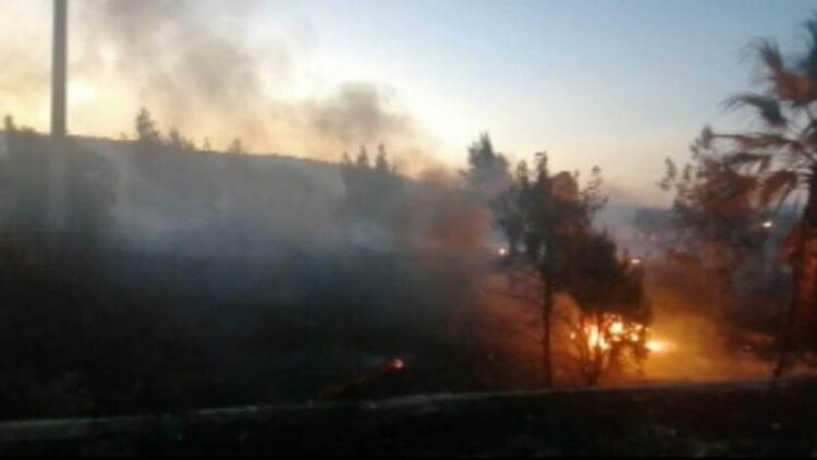 İzmir’deki yangına ilişkin gözaltına alınan şahıs: Keyfime yaktım