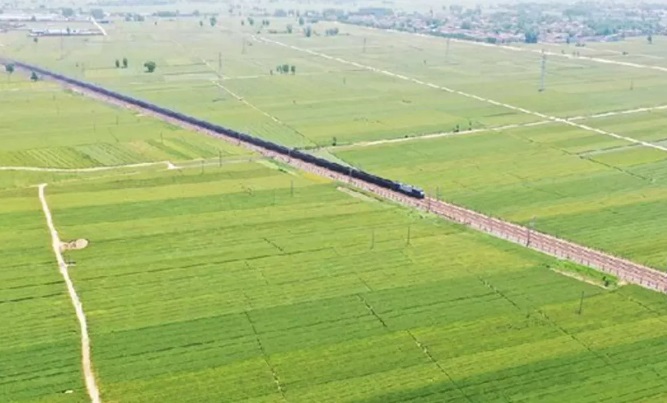 Çinli bilim insanları tahıl verimini artırabilecek bir gen buldu
