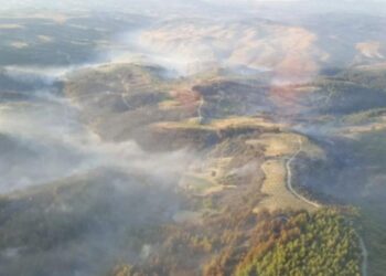 Manisa’daki orman yangınıyla ilgili 2 kişi tutuklandı