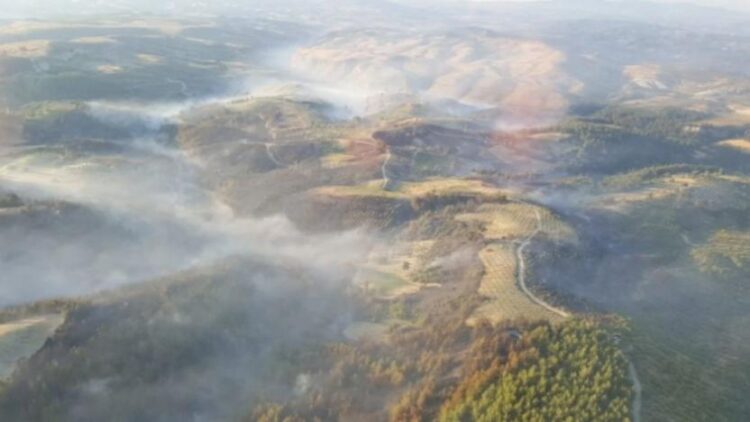 Manisa’daki orman yangınıyla ilgili 2 kişi tutuklandı