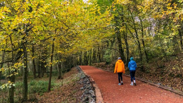İstanbul’da ormanlara giriş yasağı