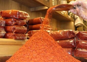 Pul biberin fiyatı fırladı, taklitleri çoğaldı
