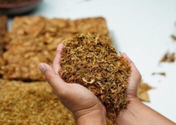 7 ilde kaçak sigara operasyonu: 214 gözaltı kararı