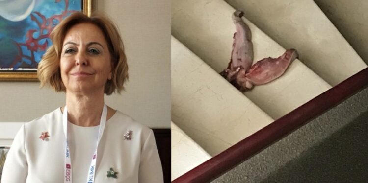 Profesörün kapısına dana dili attılar