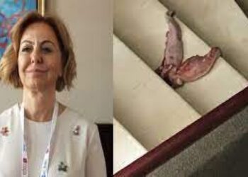 KLİMİK’ten bakanlıklara çağrı