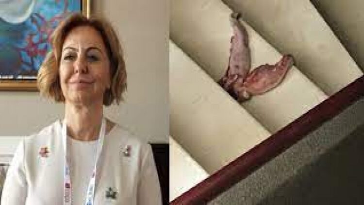 KLİMİK’ten bakanlıklara çağrı