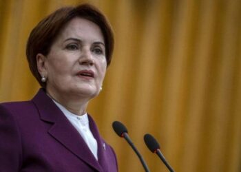 Danışmanı açıkladı: Meral Akşener’i ısıran köpek öldü