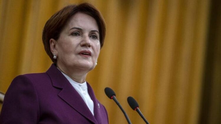 Danışmanı açıkladı: Meral Akşener’i ısıran köpek öldü