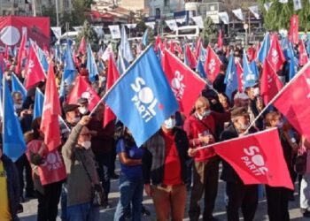 SOL Parti’den ‘ayçiçeğinde’ taban fiyat talebi