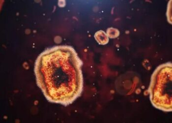 Langya virüsüyle ilgili yeni araştırmalar: Yeni bir pandemi başlayabilir mi?