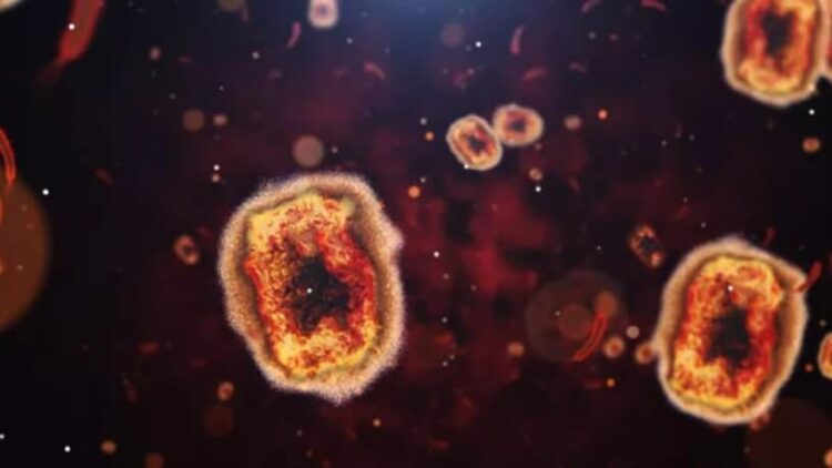 Langya virüsüyle ilgili yeni araştırmalar: Yeni bir pandemi başlayabilir mi?