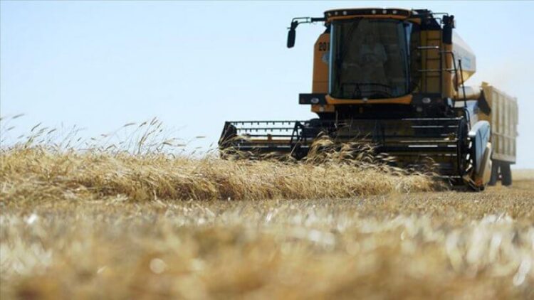 Tarımsal girdi enflasyonunda yeni rekor!