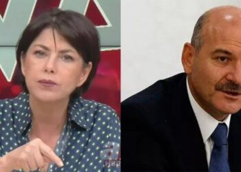 Soylu’nun ‘Bildiğinizi söylemezseniz namertsiniz’ sözlerine Şirin Payzın’dan yanıt