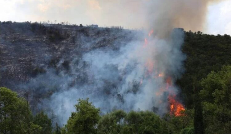 Gebze’de orman yangını!