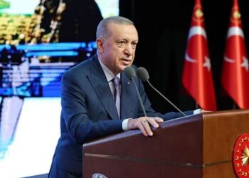 Erdoğan: ‘Büyükbaş hayvanlarda indirimli satışlara başlayacağız’