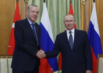 Putin: Avrupa’daki tüketiciler Türkiye’ye müteşekkir olmalı