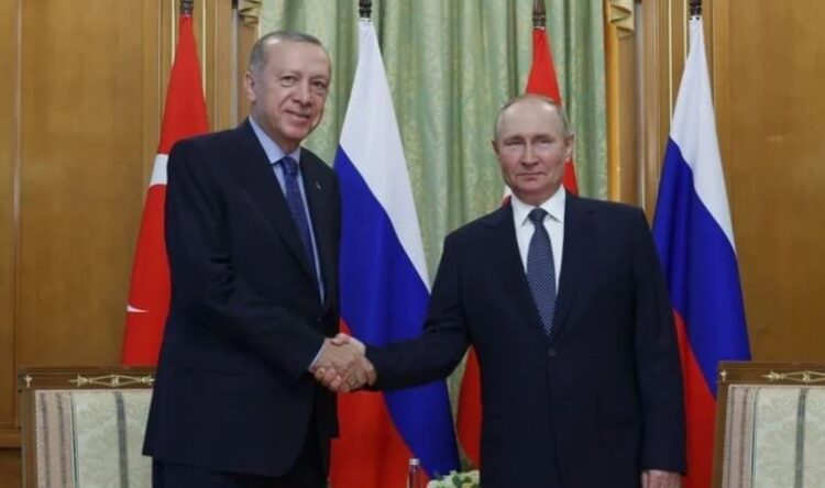 Putin: Avrupa’daki tüketiciler Türkiye’ye müteşekkir olmalı