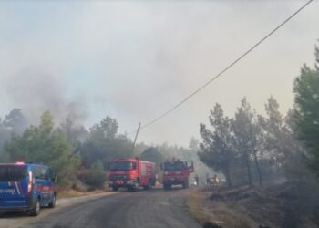 Manisa’da orman yangını