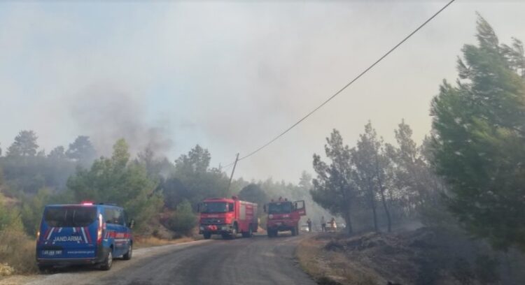 Manisa’da orman yangını