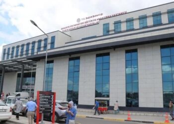 Sokak köpeğini vurmak isterken 3 çocuğu vurdu