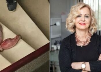 ‘Katledilecek kişi Esin Şenol olmasa salıverilir miydi?’