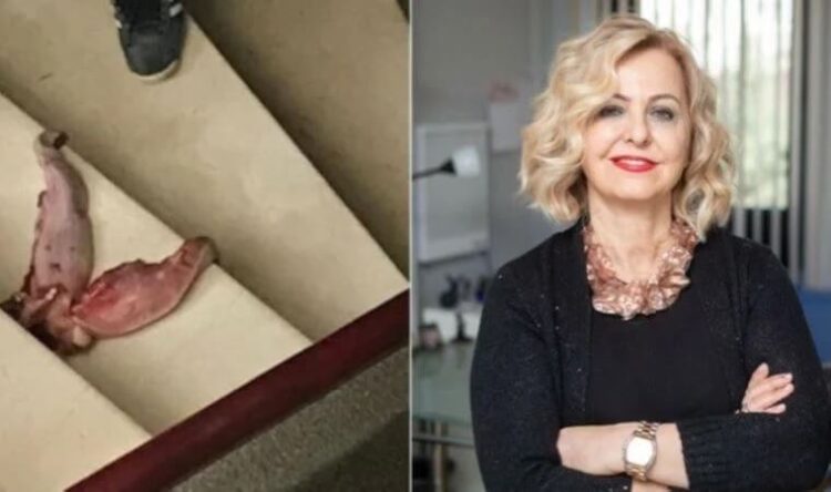 ‘Katledilecek kişi Esin Şenol olmasa salıverilir miydi?’