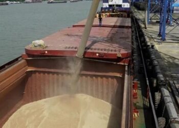 Ukrayna’dan tahıl yüklü ilk gemi bugün yola çıkıyor