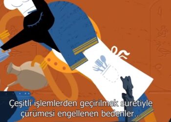 Soylu’dan Akşener ile ilgili tepki çeken video