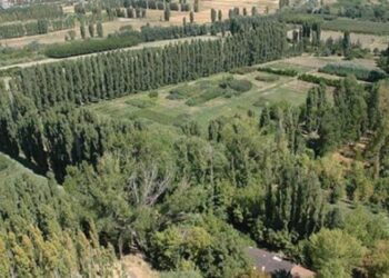 ‘Atatürk Orman Çiftliği, ‘Beştepe Millet Ormanı’ haline getirilecek’