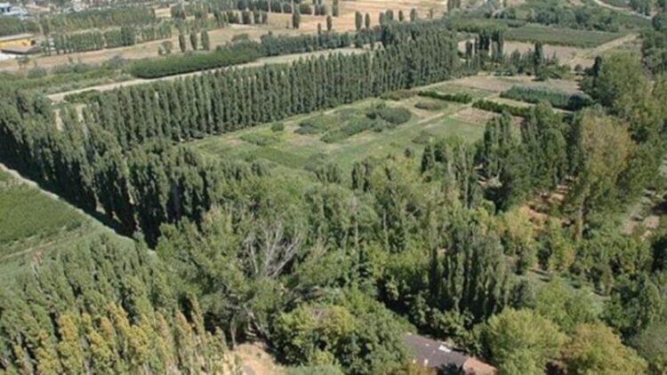 ‘Atatürk Orman Çiftliği, ‘Beştepe Millet Ormanı’ haline getirilecek’