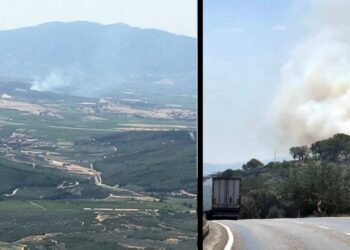 Manisa’nın 2 ilçesinde orman yangını