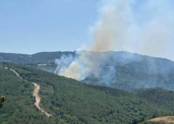 Çanakkale’de orman yangını