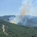 Çanakkale’de orman yangını