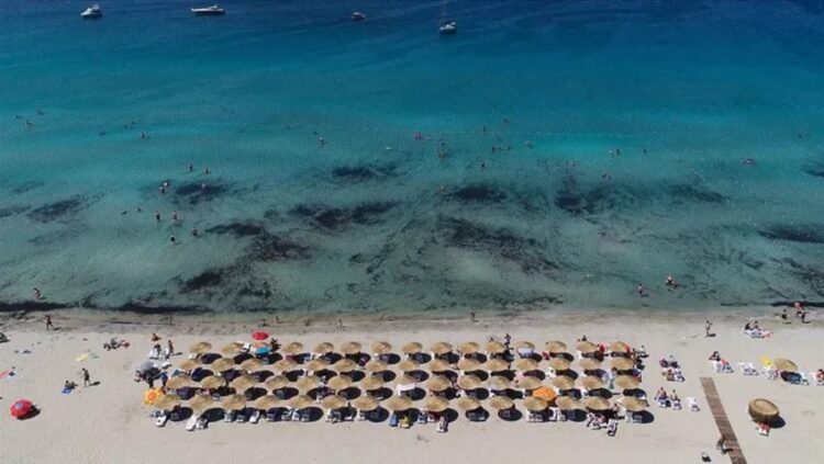 İzmir’in ‘Kanal İstanbul’u için Çeşme ‘parsel parsel’ satılıyor